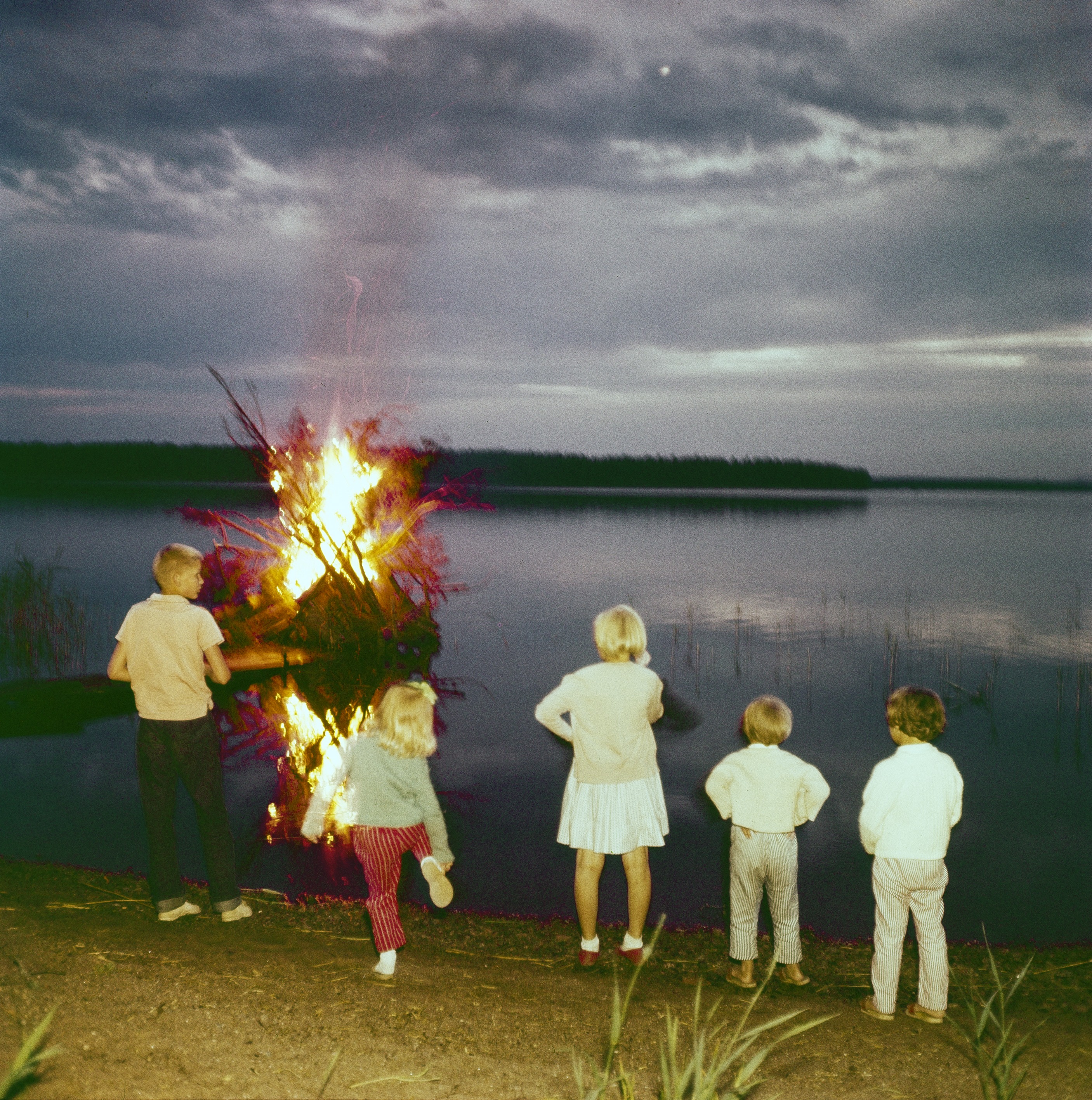 Lapsia ihailemassa kokkoa veden äärellä, 1960-luku. Helsingin kaupunginmuseo, Juha Jernvall.